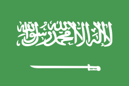 SA - Flag